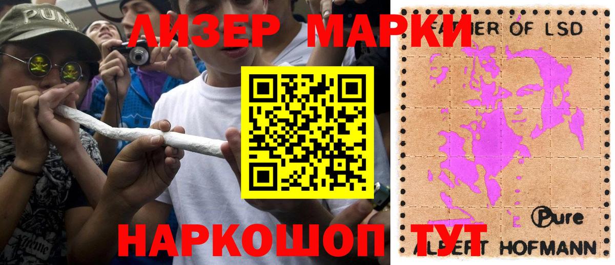 Псилоцибиновые грибы Орск