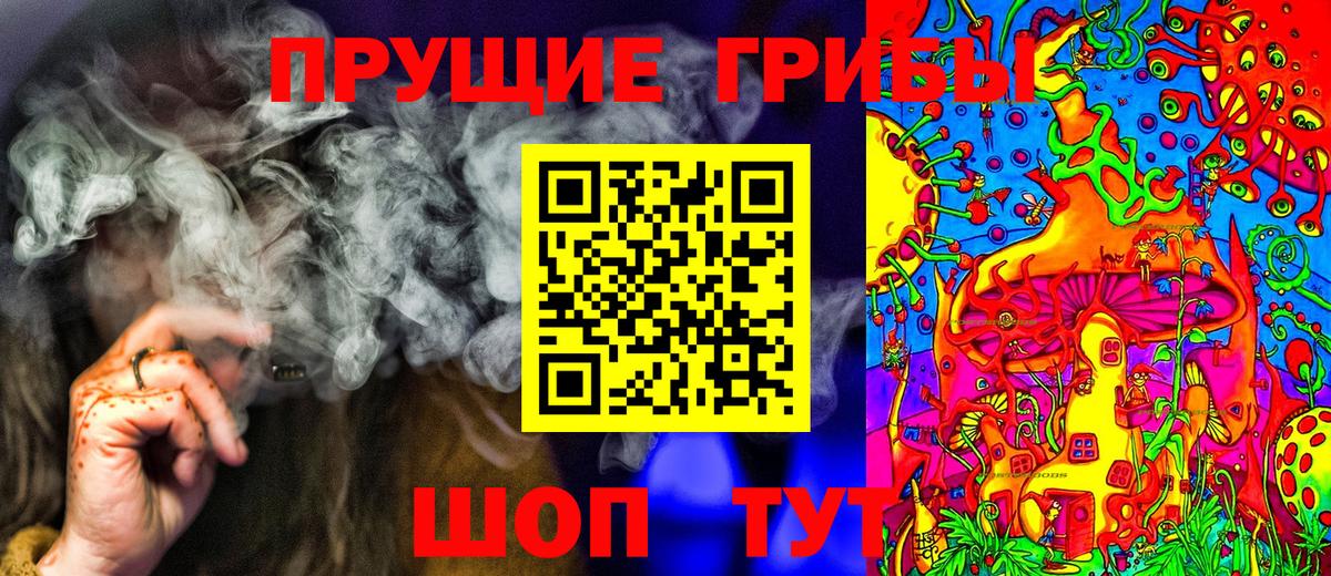 Орск  Псилоцибиновые грибы Cubensis  Вход с VPN 